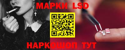 ECSTASY Камышлов