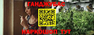 ECSTASY Камышлов