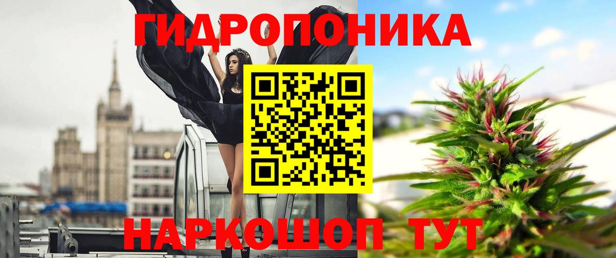 Канабис тримм  Вход с VPN  Хасавюрт  Бошки марихуана конопля  Канабис AK-47 